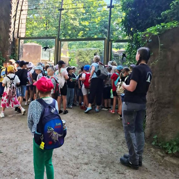 zeigt Kindergruppe und Erwachsene, die durch die Glaswand eines Tiergeheges schauen
