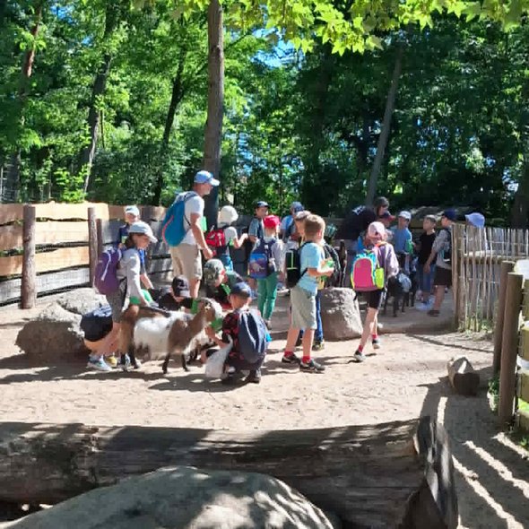 zeigt Gruppe von Kindern und eine Ziege auf einem Weg