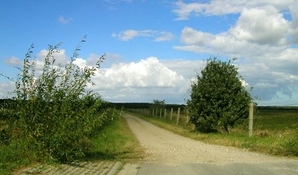 zeigt Wanderweg in den Wiesen