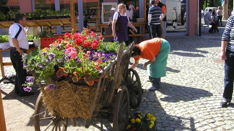 zeigt einen mit Blumen geschmückten Holzhandwagen und Leute drumherum